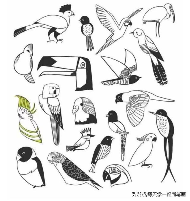 每天学一幅简笔画--鸟儿主题类线描简笔画！太精致实用了-10.jpg