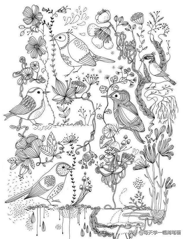 每天学一幅简笔画--鸟儿主题类线描简笔画！太精致实用了-11.jpg