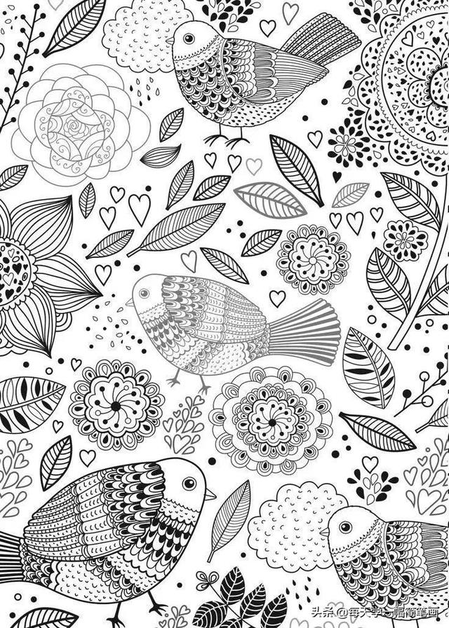 每天学一幅简笔画--鸟儿主题类线描简笔画！太精致实用了-13.jpg