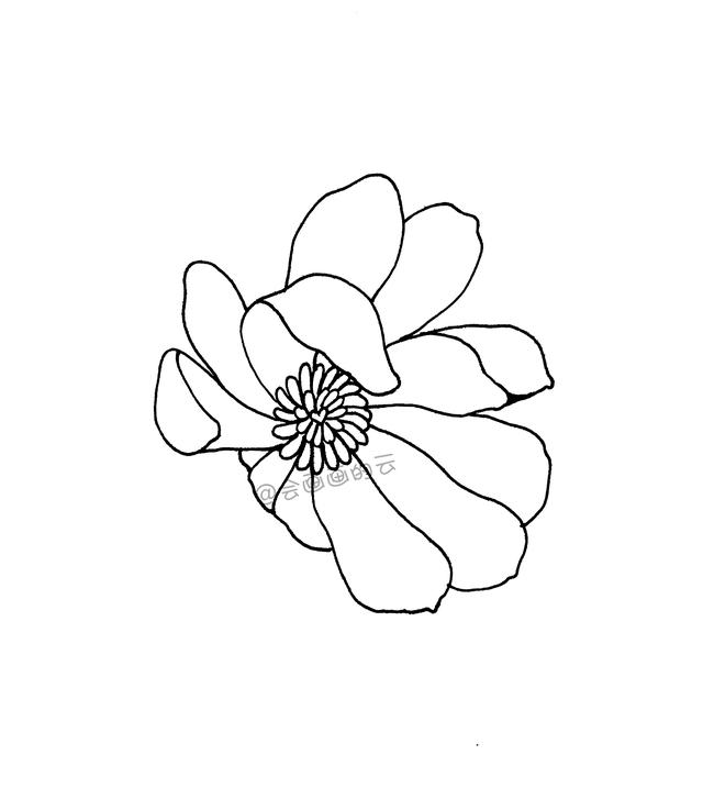一步一步教你，如何用中性笔画线描简笔画，零基础也可以画-4.jpg