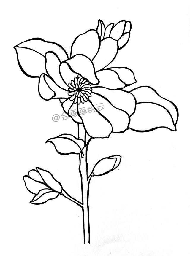 一步一步教你，如何用中性笔画线描简笔画，零基础也可以画-7.jpg