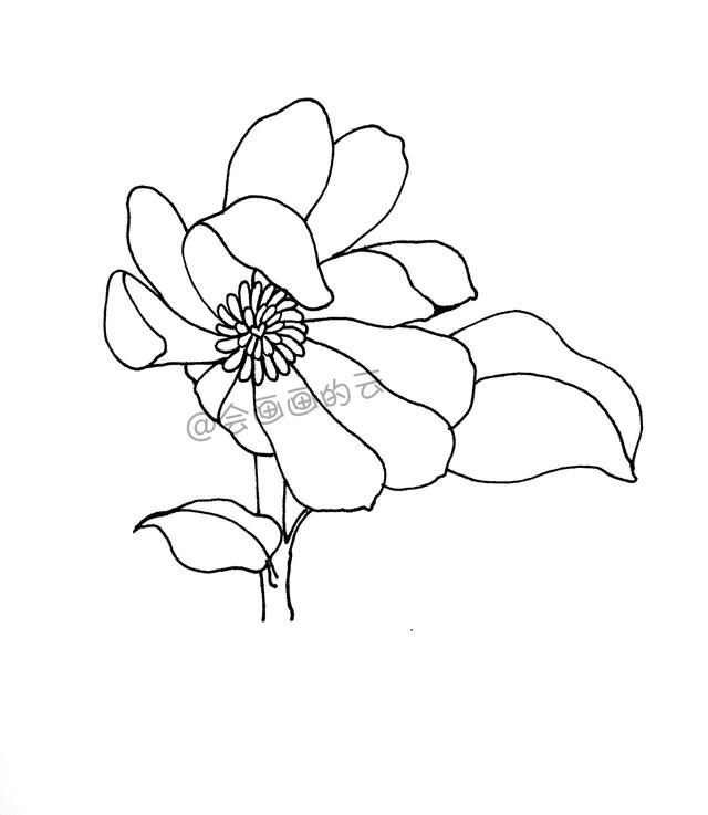一步一步教你，如何用中性笔画线描简笔画，零基础也可以画-5.jpg