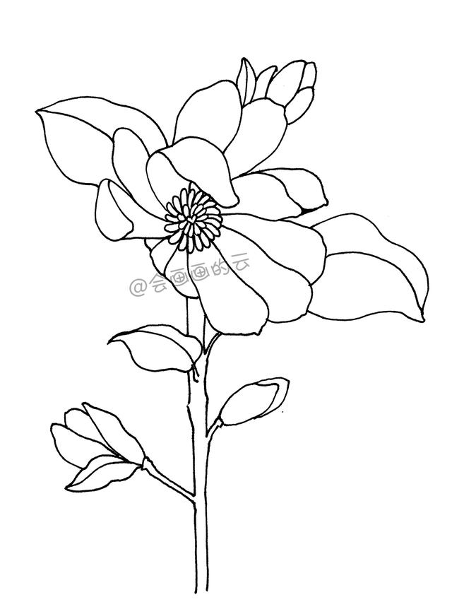 一步一步教你，如何用中性笔画线描简笔画，零基础也可以画-6.jpg