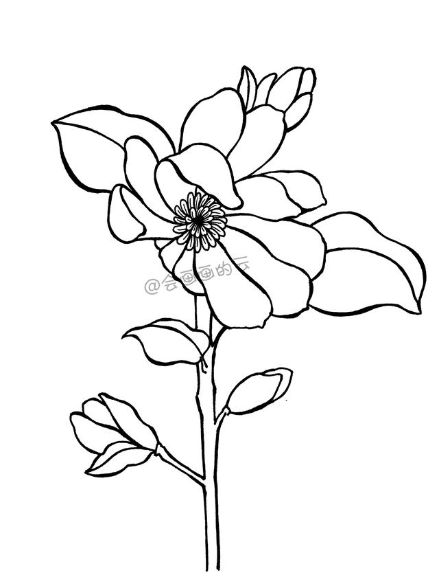 一步一步教你，如何用中性笔画线描简笔画，零基础也可以画-8.jpg