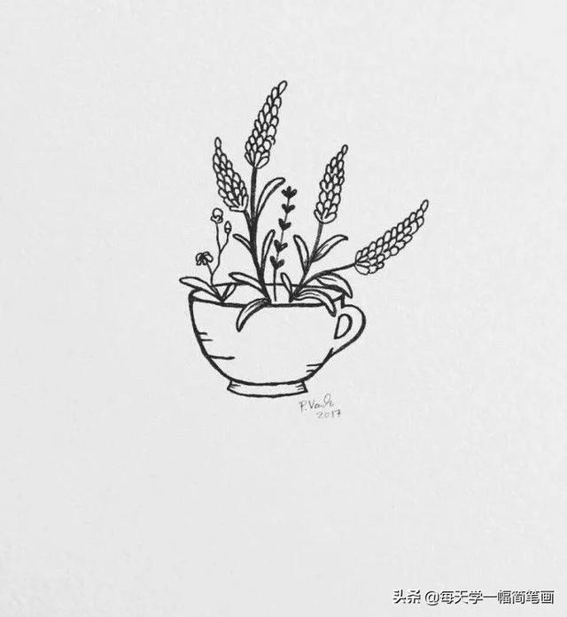 每天学一幅简笔画--漂亮的植物线稿，马了临摹-11.jpg