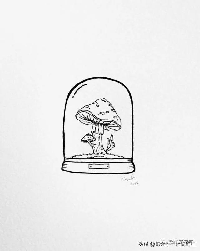 每天学一幅简笔画--漂亮的植物线稿，马了临摹-17.jpg