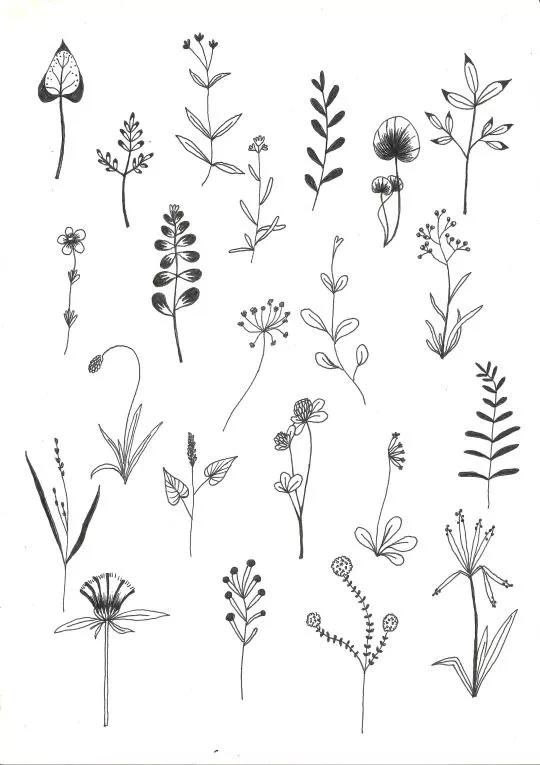 1000+例线描简笔画素材，想画什么有什么-10.jpg