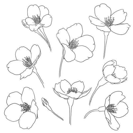 1000+例线描简笔画素材，想画什么有什么-9.jpg
