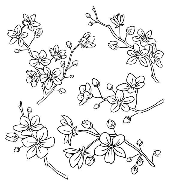 1000+例线描简笔画素材，想画什么有什么-13.jpg