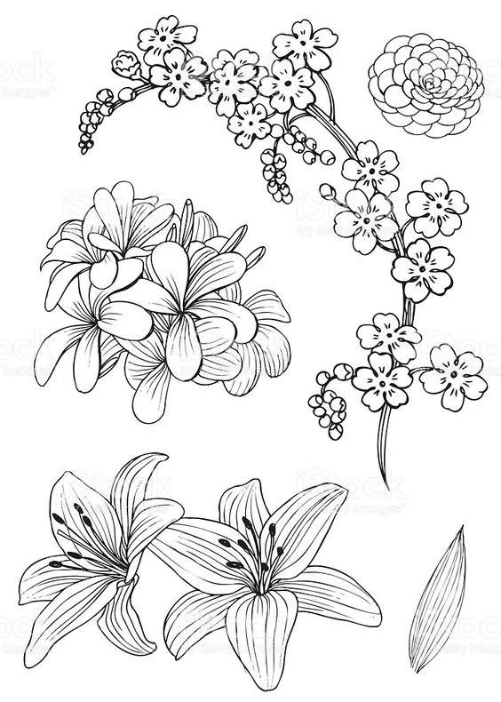 1000+例线描简笔画素材，想画什么有什么-17.jpg