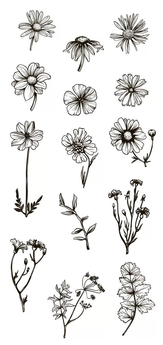 1000+例线描简笔画素材，想画什么有什么-19.jpg