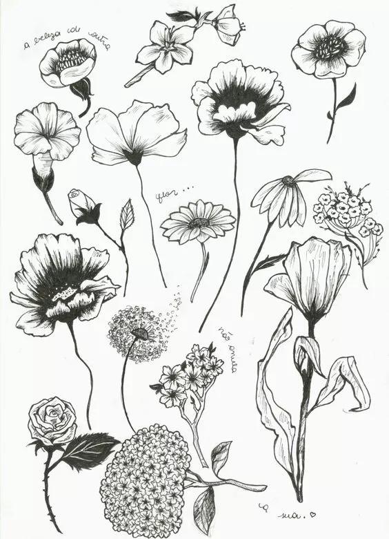 1000+例线描简笔画素材，想画什么有什么-25.jpg