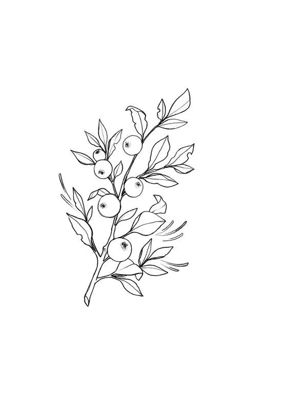 1000+例线描简笔画素材，想画什么有什么-23.jpg
