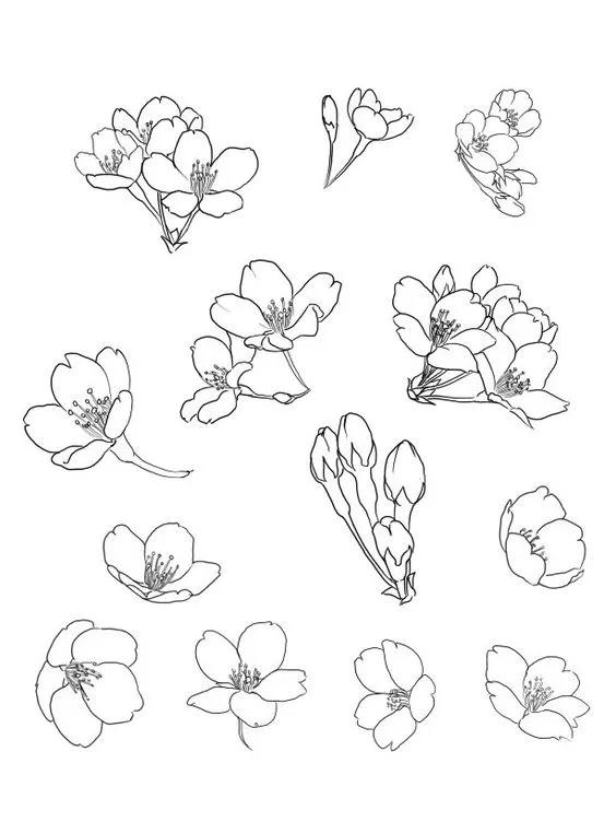 1000+例线描简笔画素材，想画什么有什么-35.jpg