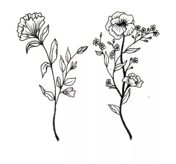 1000+例线描简笔画素材，想画什么有什么-40.jpg