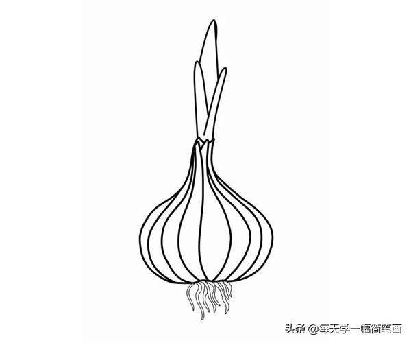 每天学一幅简笔画--一大波蔬菜简笔画图片大全-4.jpg