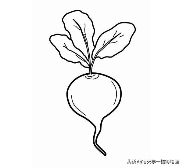 每天学一幅简笔画--一大波蔬菜简笔画图片大全-5.jpg