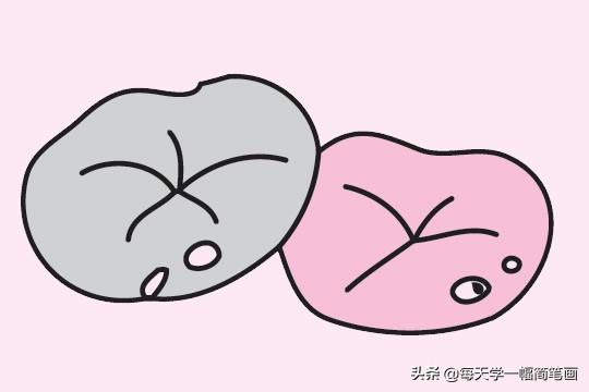 每天学一幅简笔画--荷叶简笔画画法步骤图片大全-6.jpg