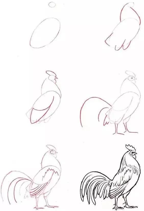 儿童动物简笔画教程，步骤简单，收藏学习，好好练习-7.jpg