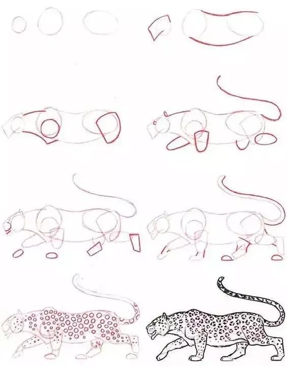 儿童动物简笔画教程，步骤简单，收藏学习，好好练习-11.jpg