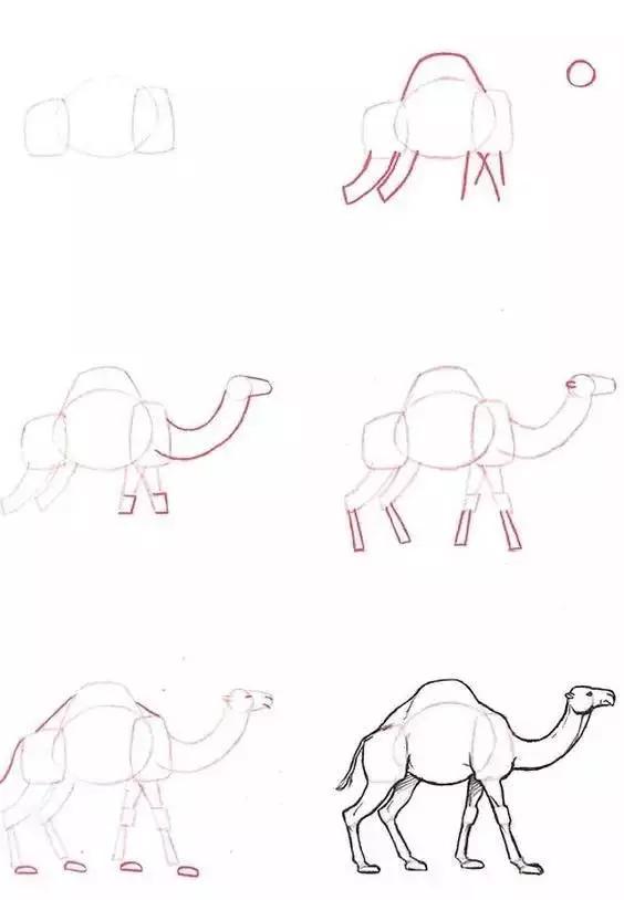 儿童动物简笔画教程，步骤简单，收藏学习，好好练习-21.jpg