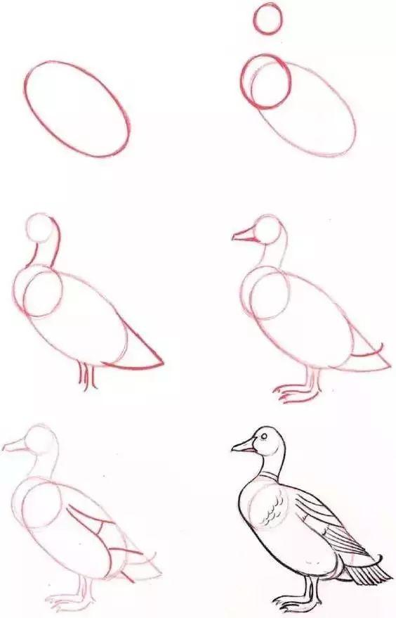 儿童动物简笔画教程，步骤简单，收藏学习，好好练习-26.jpg
