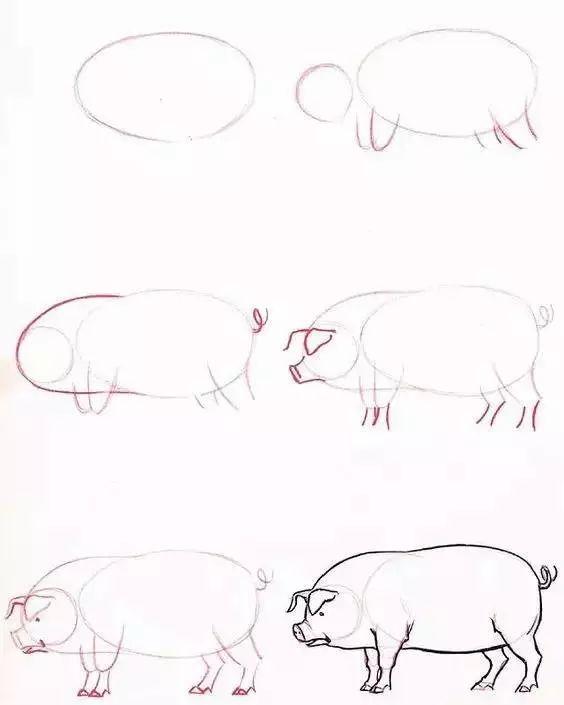 儿童动物简笔画教程，步骤简单，收藏学习，好好练习-27.jpg