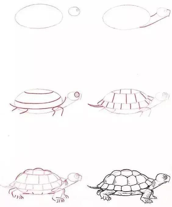 儿童动物简笔画教程，步骤简单，收藏学习，好好练习-28.jpg