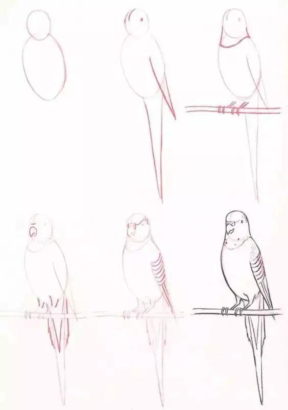儿童动物简笔画教程，步骤简单，收藏学习，好好练习-33.jpg