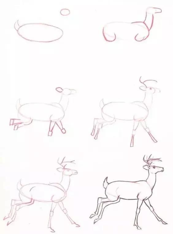 儿童动物简笔画教程，步骤简单，收藏学习，好好练习-34.jpg