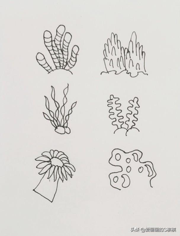 超全的海底世界简笔画素材，收藏起来给孩子用！儿童鱼简笔画大全-5.jpg