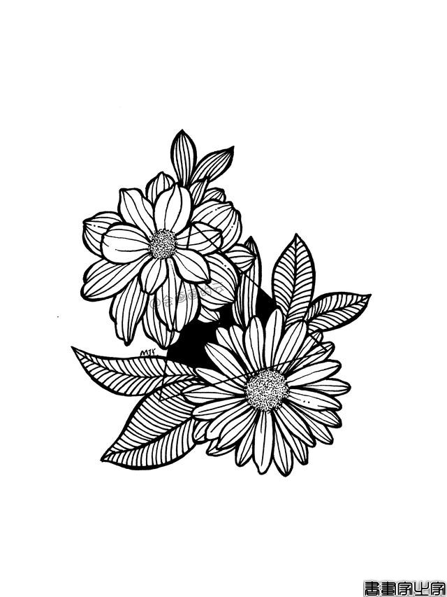 教你用1支签字笔，画清新好看的简笔画，小白也可以-10.jpg