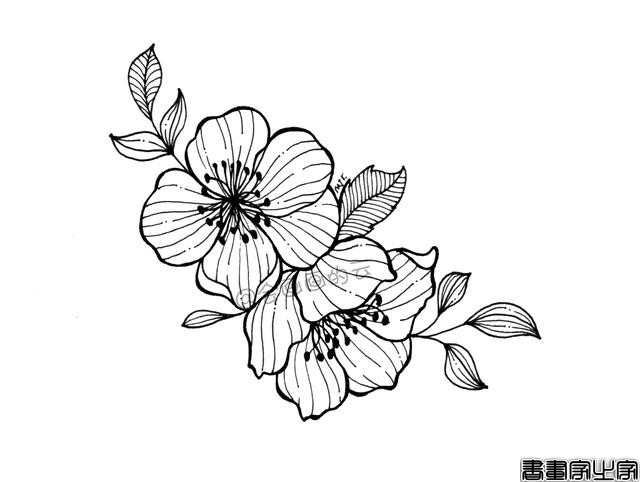 近期简笔画分享，干货满满，码住学习吧-8.jpg