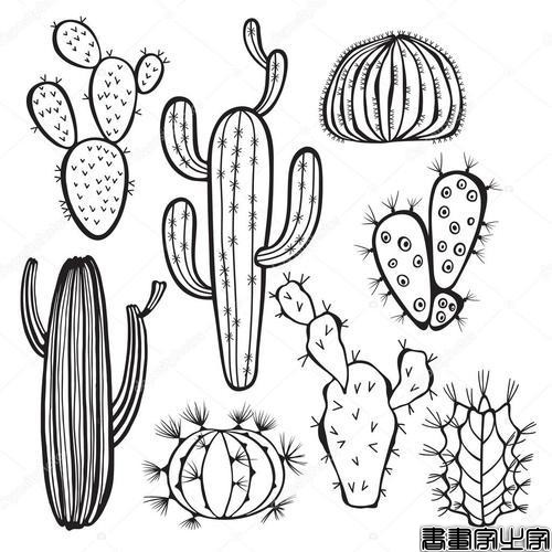 2020-06-21好看的简笔画---仙人掌-9.jpg