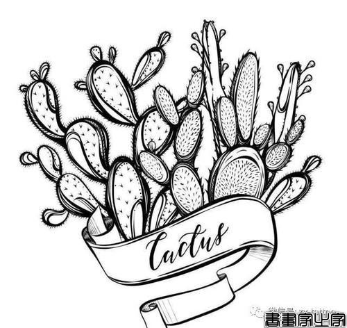 2020-06-21好看的简笔画---仙人掌-16.jpg