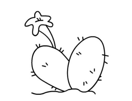 2020-06-21好看的简笔画---仙人掌-22.jpg