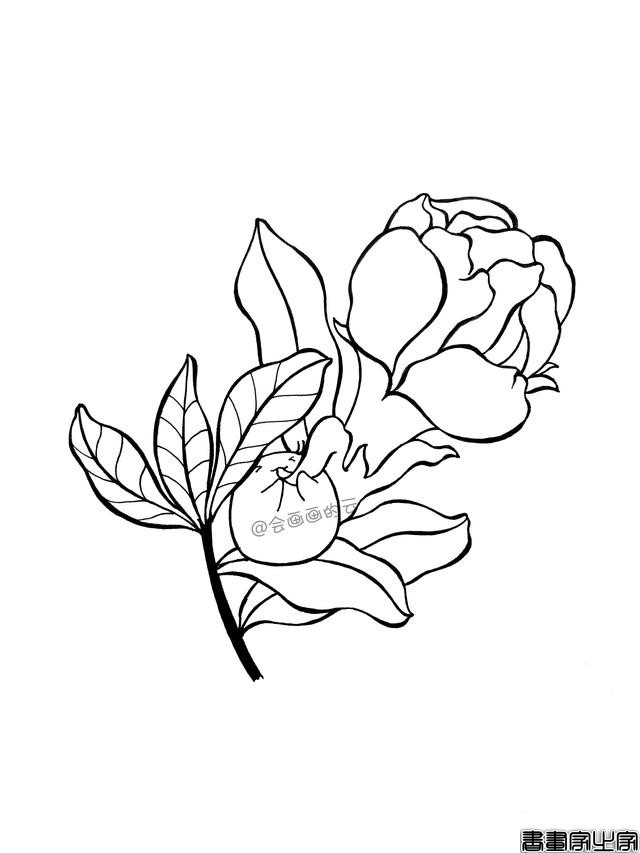 一步一步教你画简笔画，平时用的签字笔就可以-4.jpg