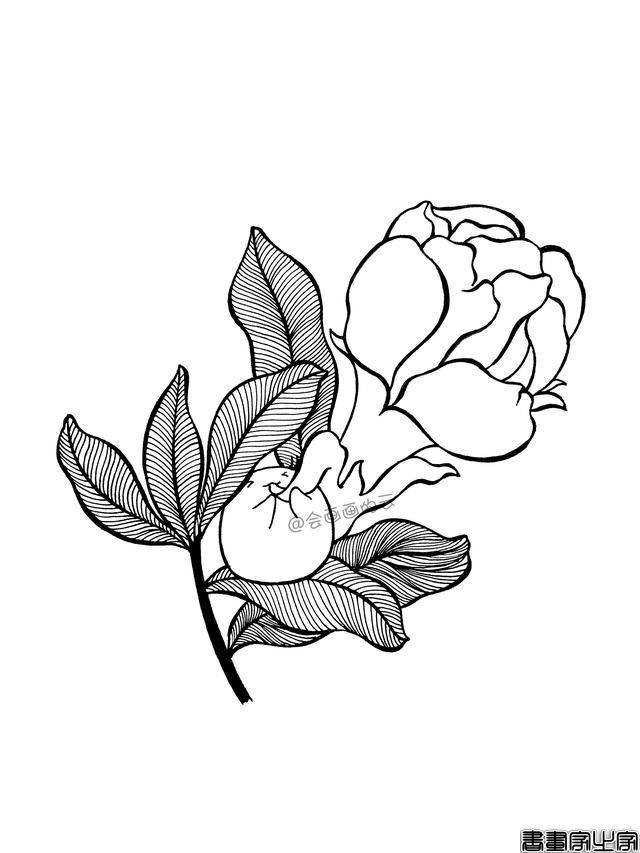 一步一步教你画简笔画，平时用的签字笔就可以-7.jpg