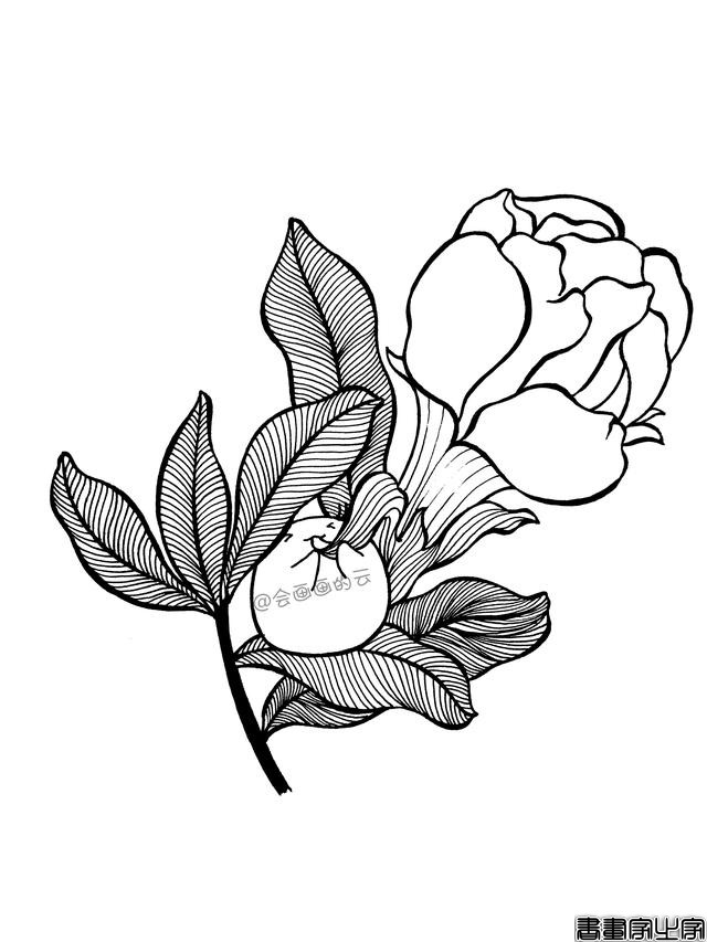 一步一步教你画简笔画，平时用的签字笔就可以-8.jpg