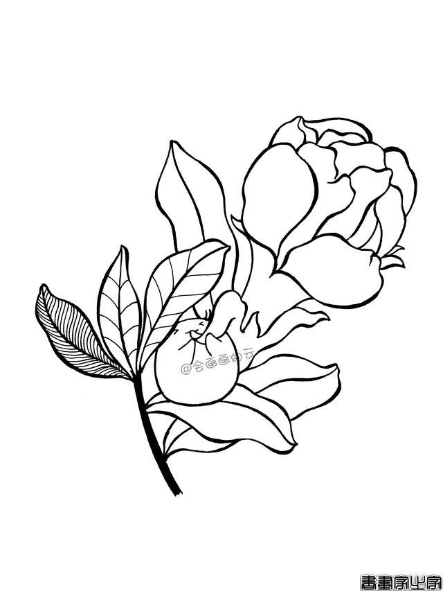 一步一步教你画简笔画，平时用的签字笔就可以-5.jpg