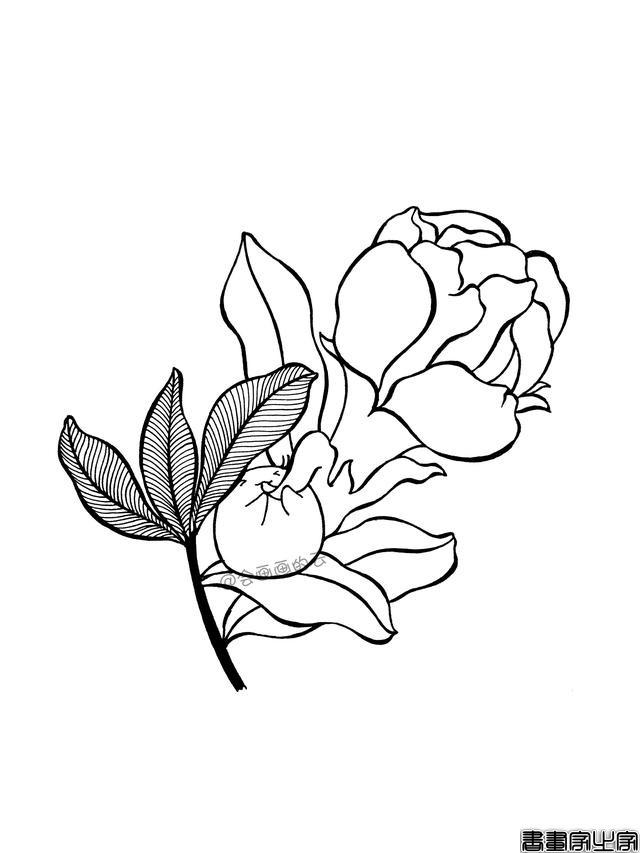 一步一步教你画简笔画，平时用的签字笔就可以-6.jpg
