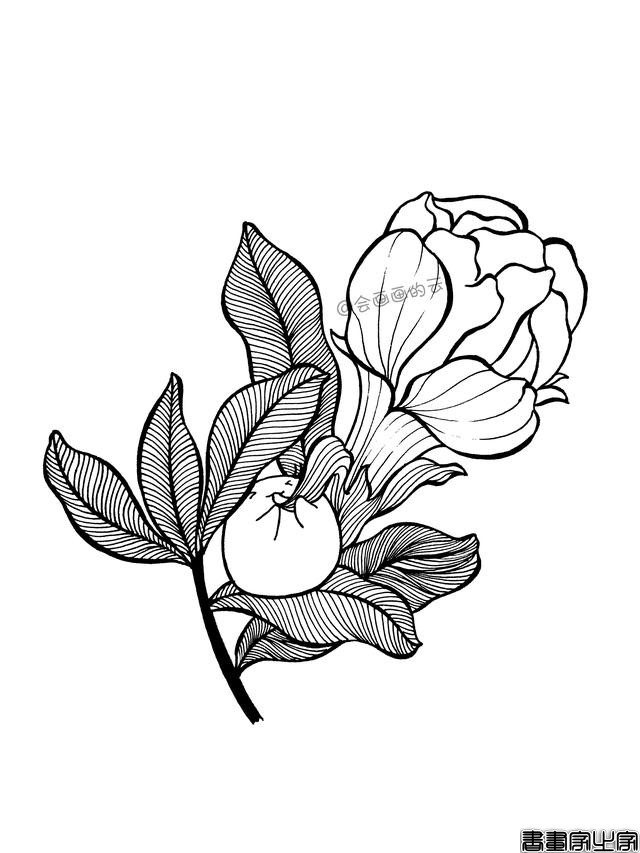 一步一步教你画简笔画，平时用的签字笔就可以-9.jpg