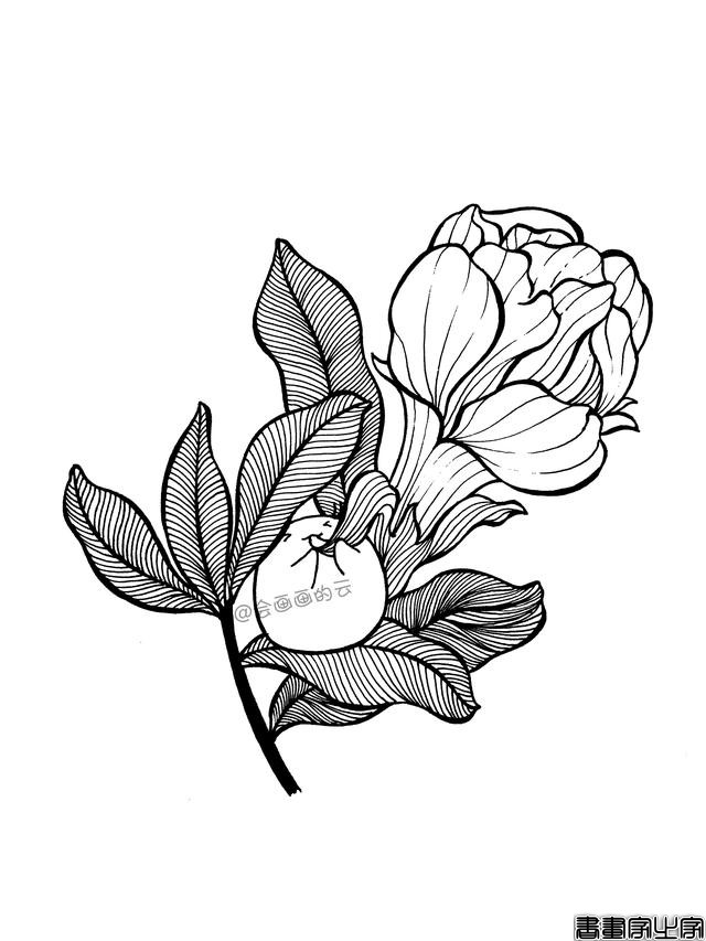 一步一步教你画简笔画，平时用的签字笔就可以-10.jpg