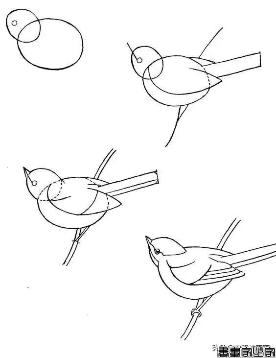 超详细的简笔画教程，小朋友也能自学-33.jpg