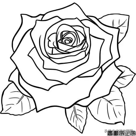 超详细的简笔画教程，小朋友也能自学-36.jpg