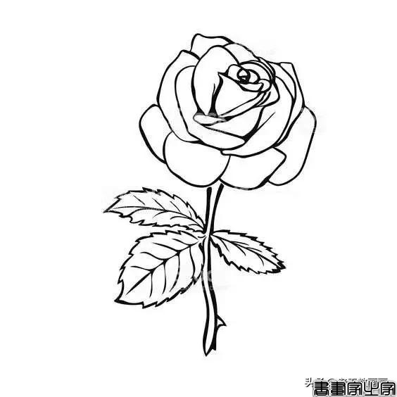 超详细的简笔画教程，小朋友也能自学-40.jpg