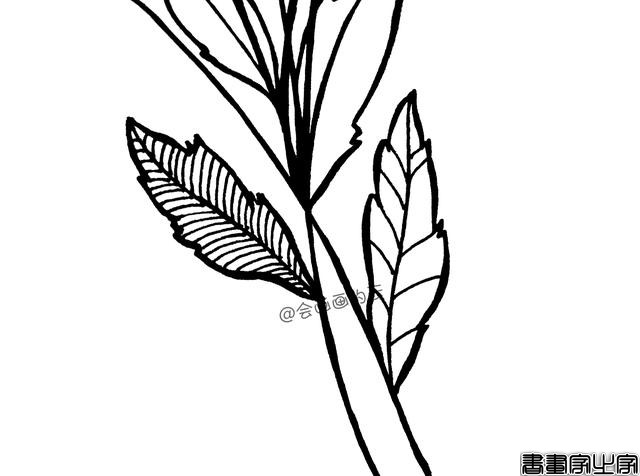 一支平时用的中性笔，教你如何画简笔画花朵，超级简单-6.jpg