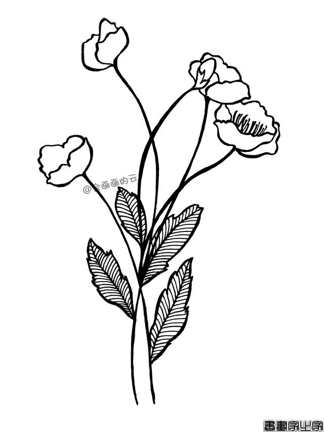 一支平时用的中性笔，教你如何画简笔画花朵，超级简单-7.jpg