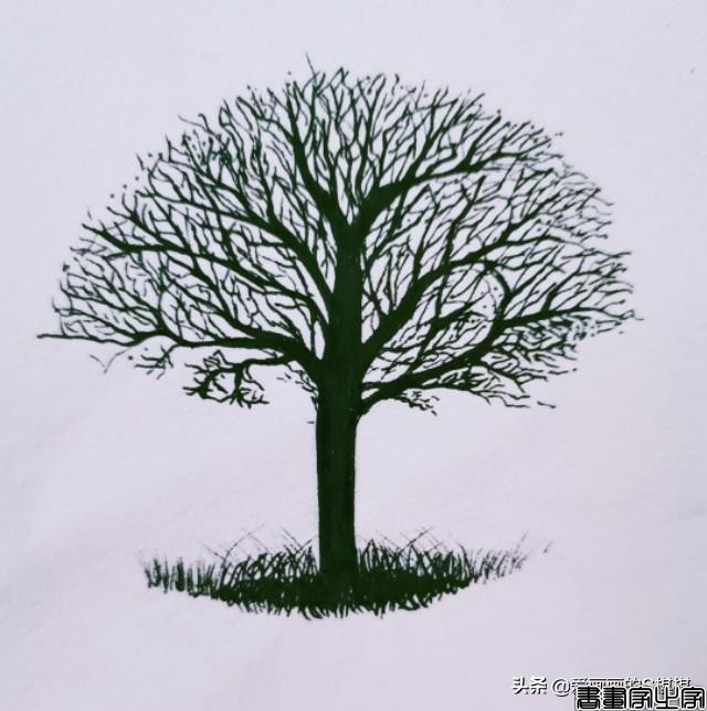 各种大树画法，树的简笔画大全，帮孩子收藏起来，少儿美术-6.jpg