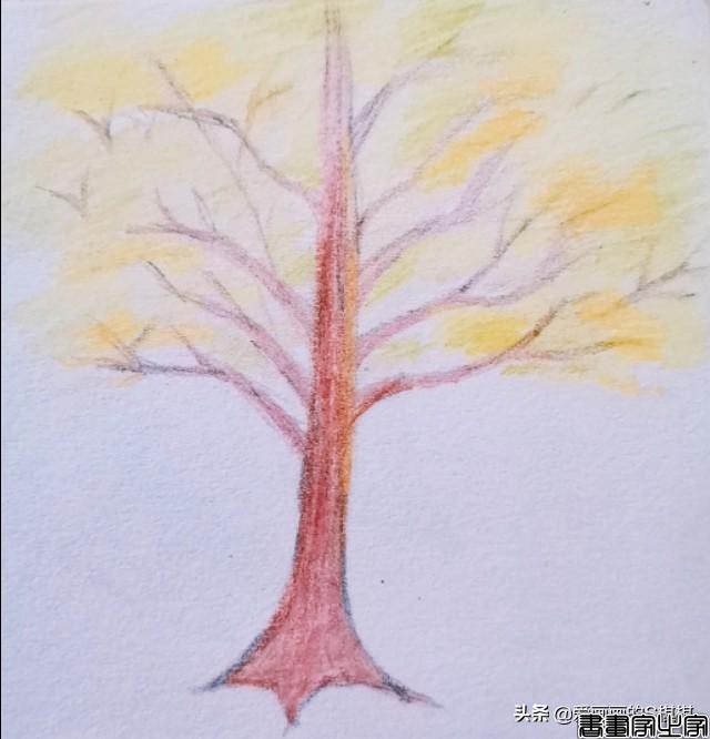 各种大树画法，树的简笔画大全，帮孩子收藏起来，少儿美术-9.jpg